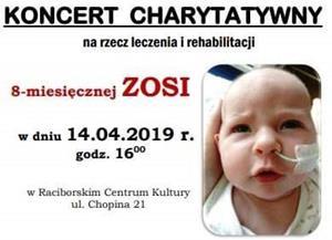 koncert mini