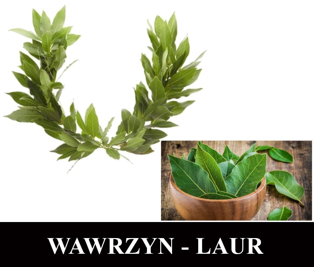 idea1 wawrzyn