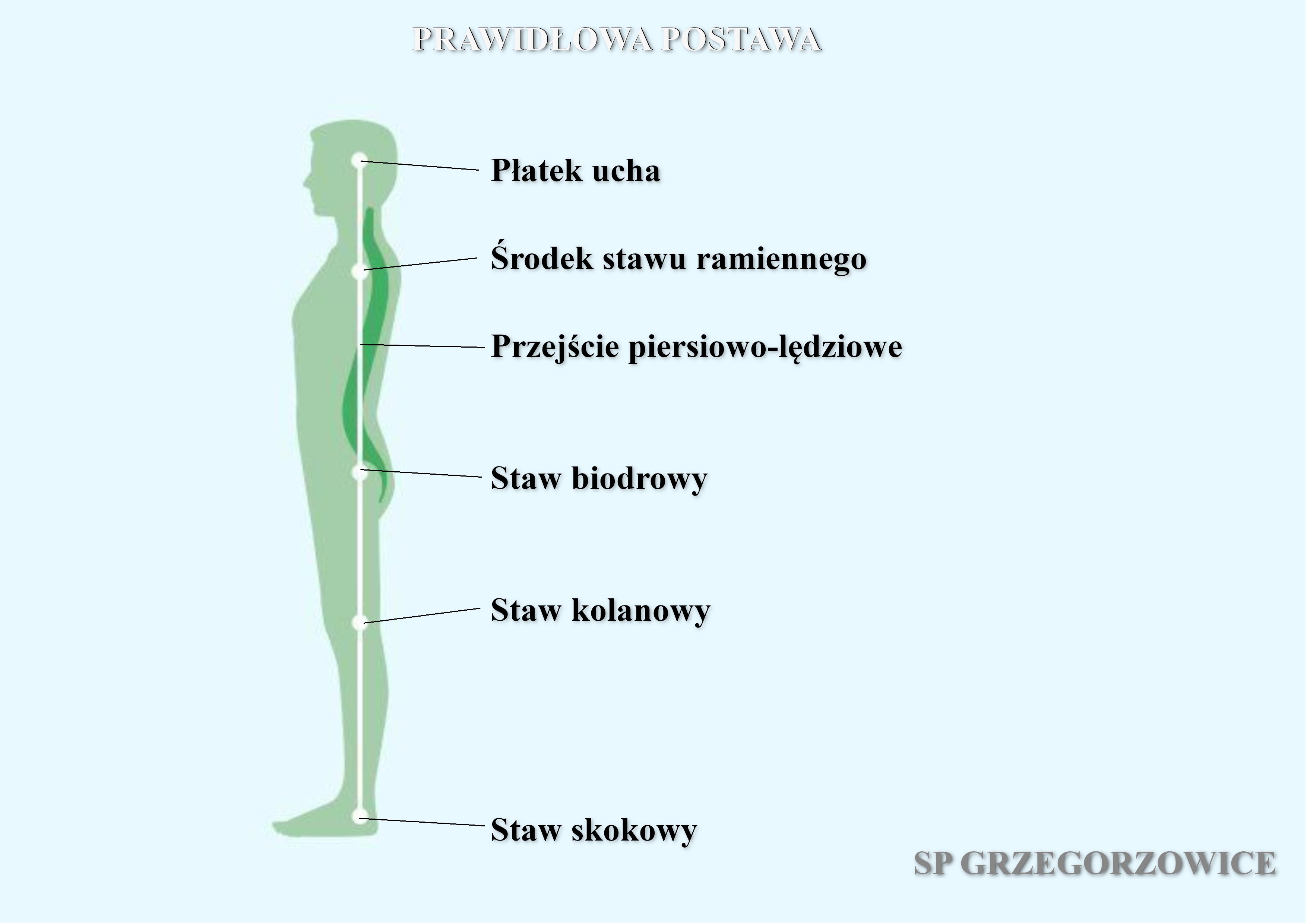 postawa 0005